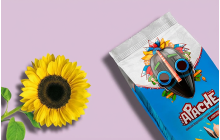  PEPITES DE TOURNESOL (1)