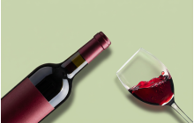 VINS (21)