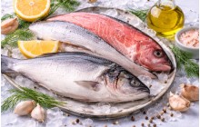POISSONS (4)