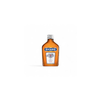 RICARD FLASQUE 20CL